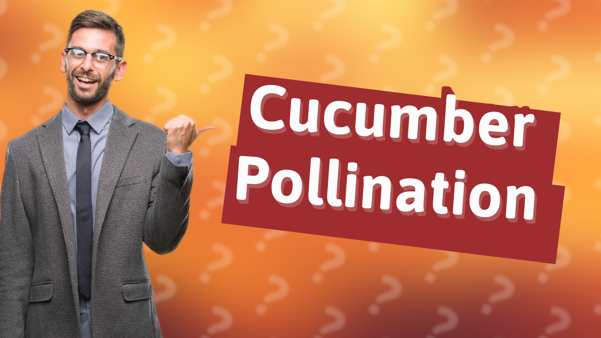 Cucumber Pollination