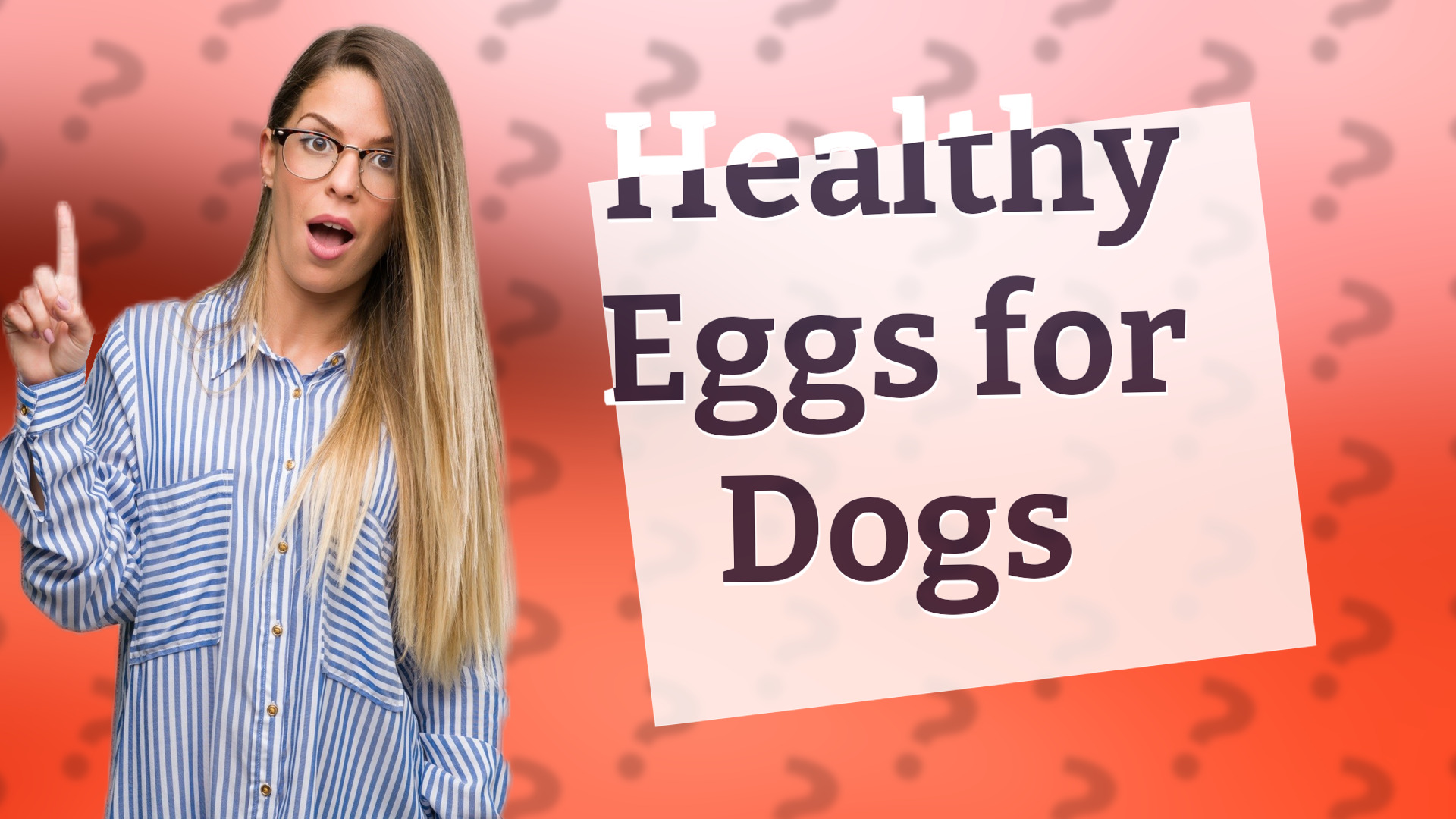 Healthy Eggs for Dogs