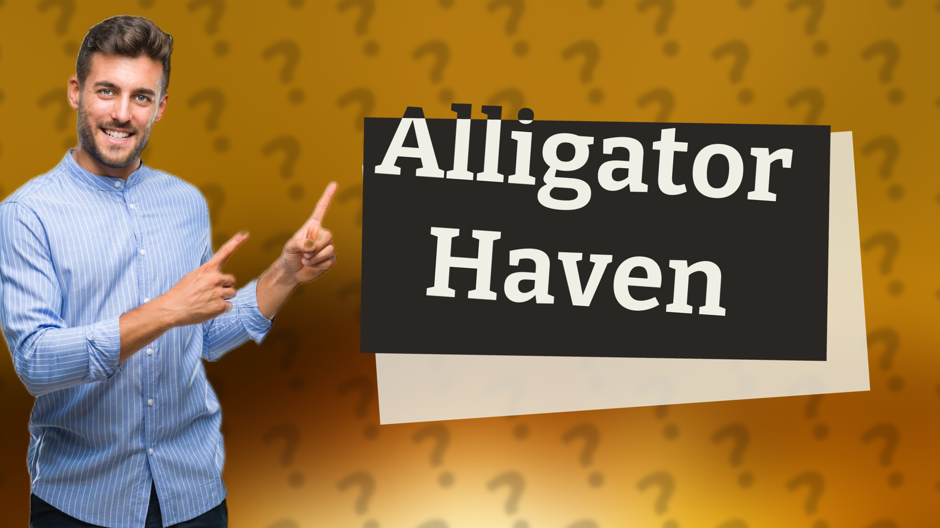 Alligator Haven