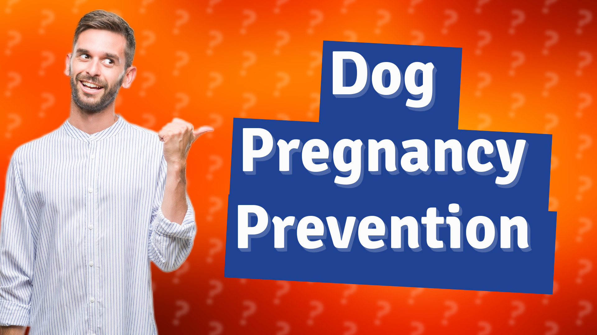 Dog Pregnancy Prevention