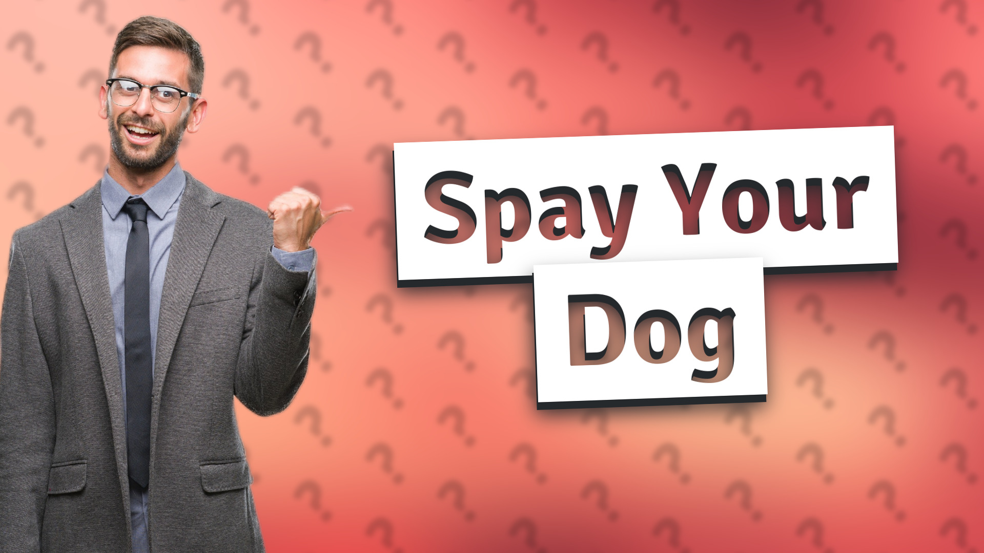 Spay Your Dog
