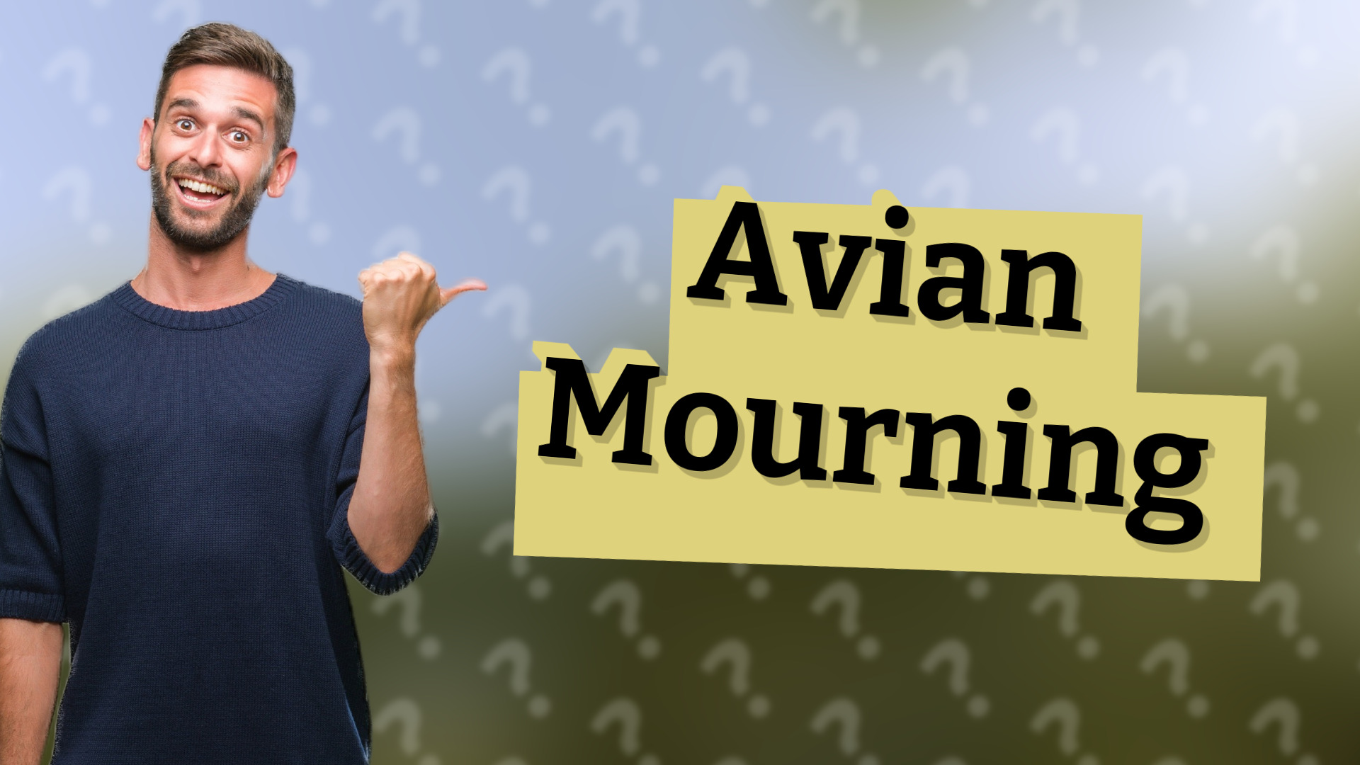 Avian Mourning