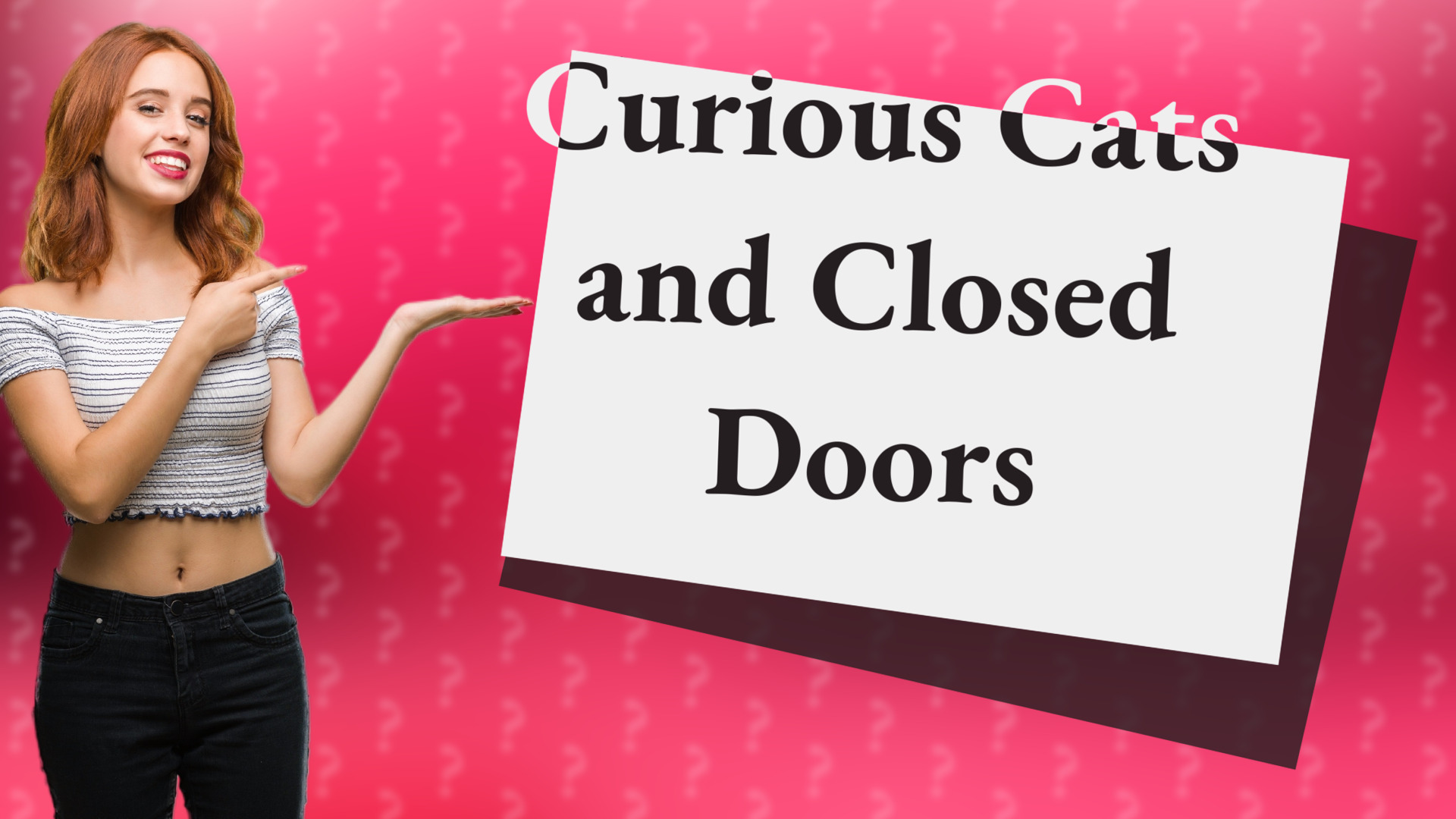 Curious Cats and Closed Doors
