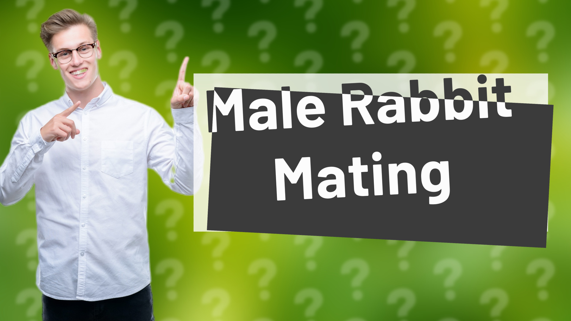 Male Rabbit Mating