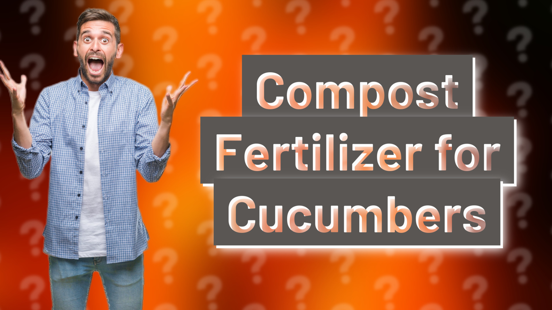Compost Fertilizer for Cucumbers
