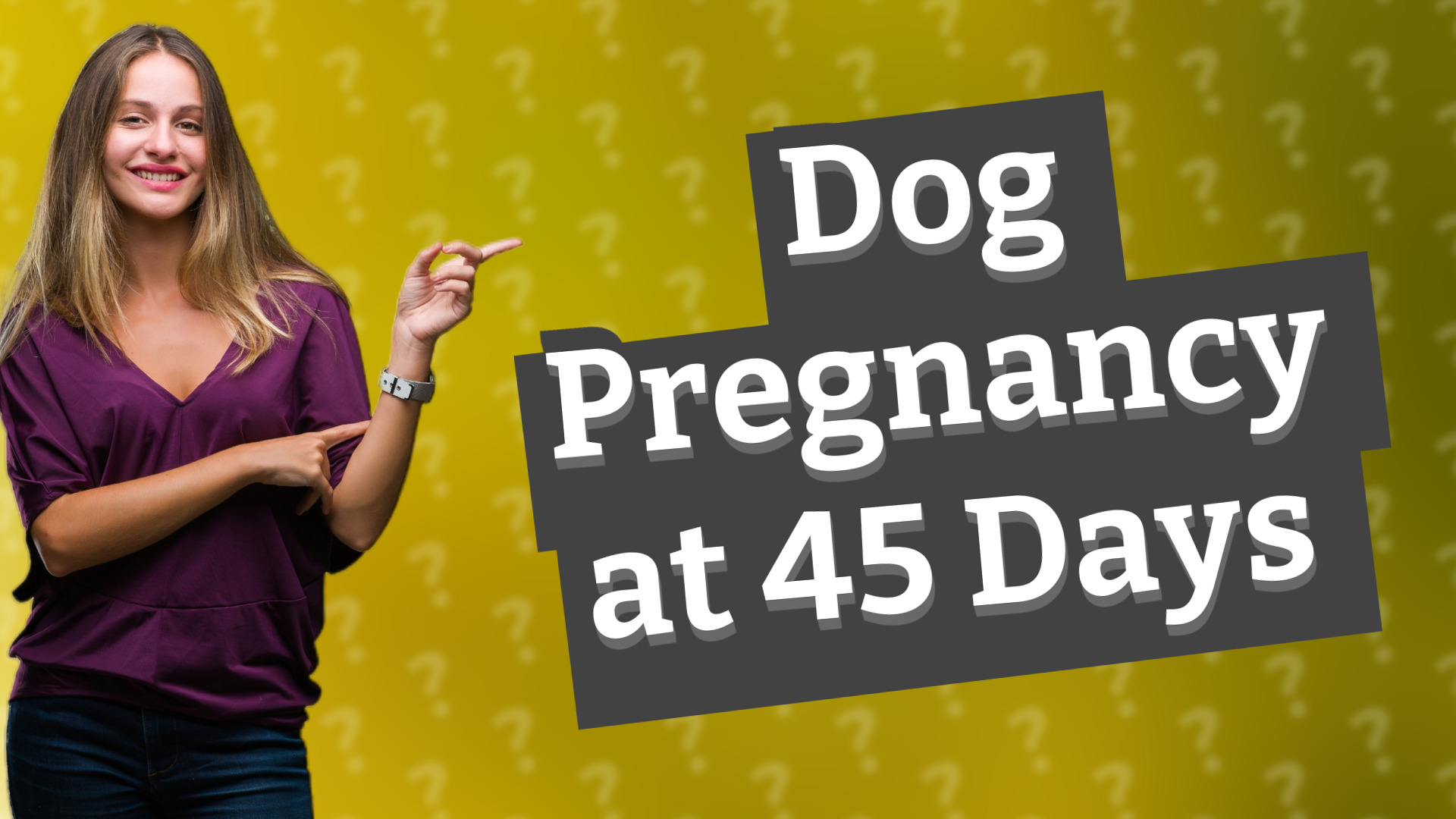 Dog Pregnancy at 45 Days