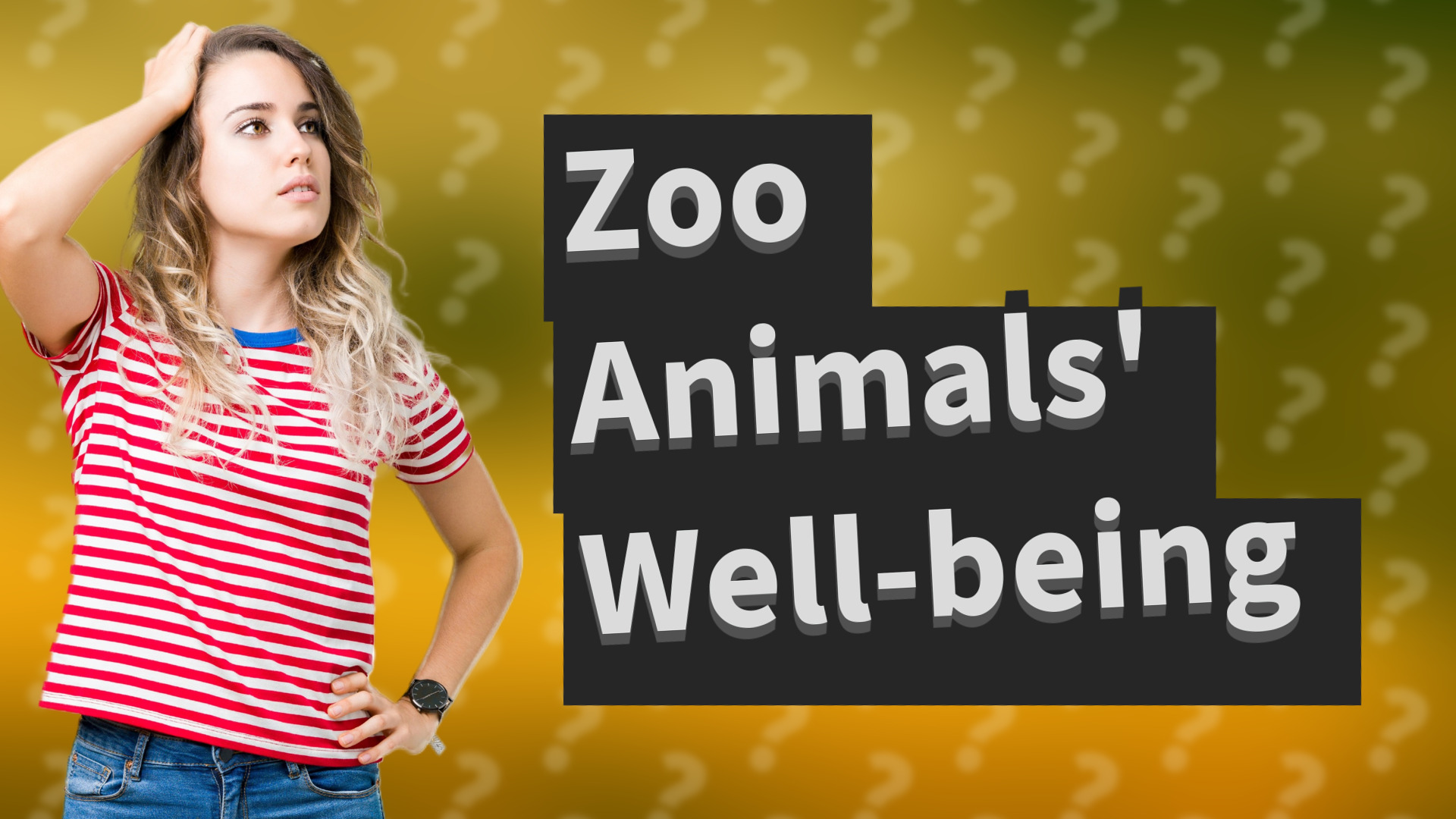 Zoo Animals' Well-being