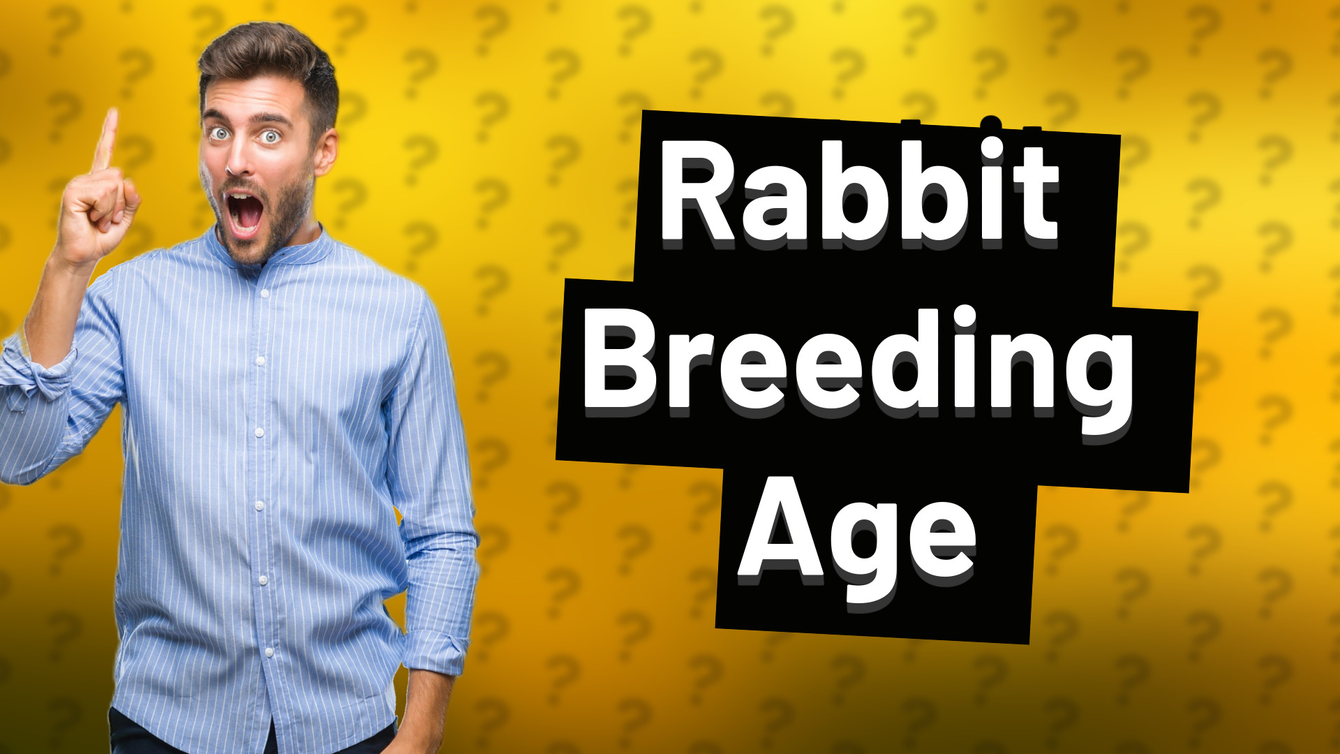 Rabbit Breeding Age