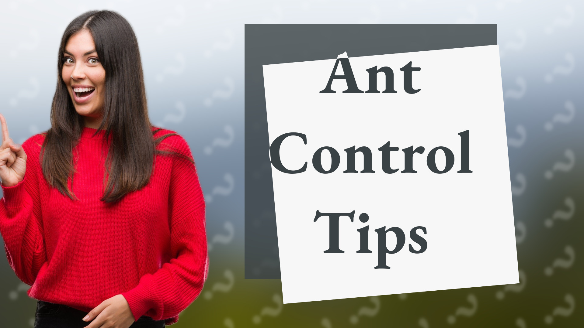 Ant Control Tips