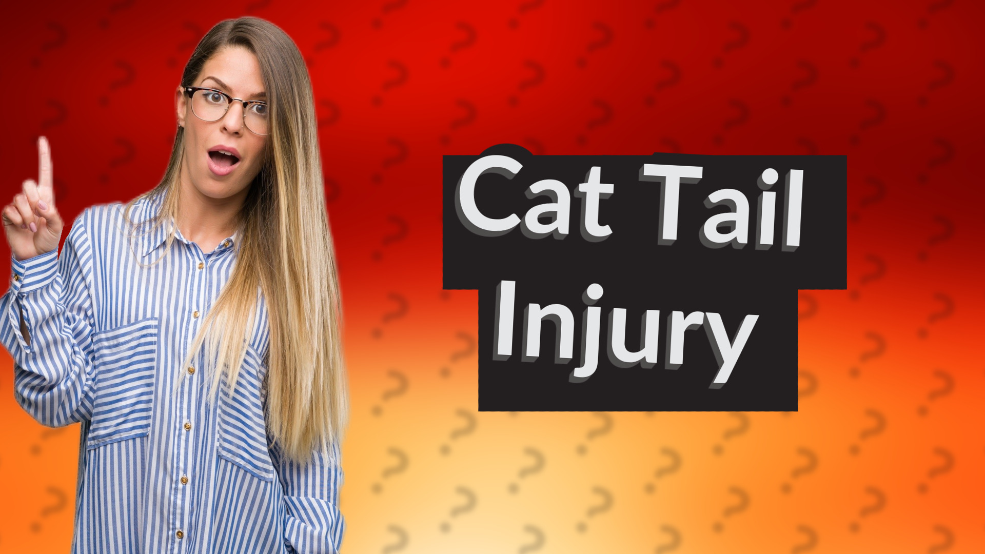 Cat Tail Injury