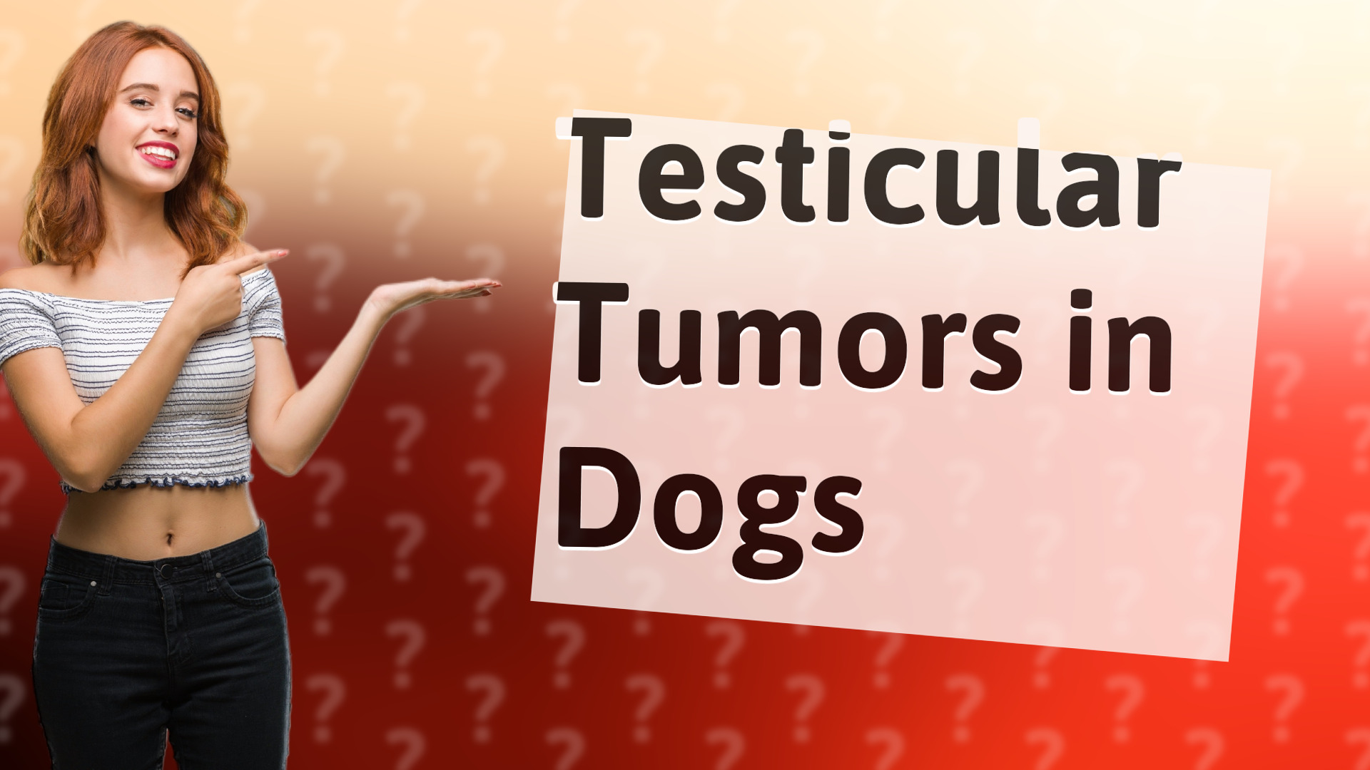 Testicular Tumors in Dogs