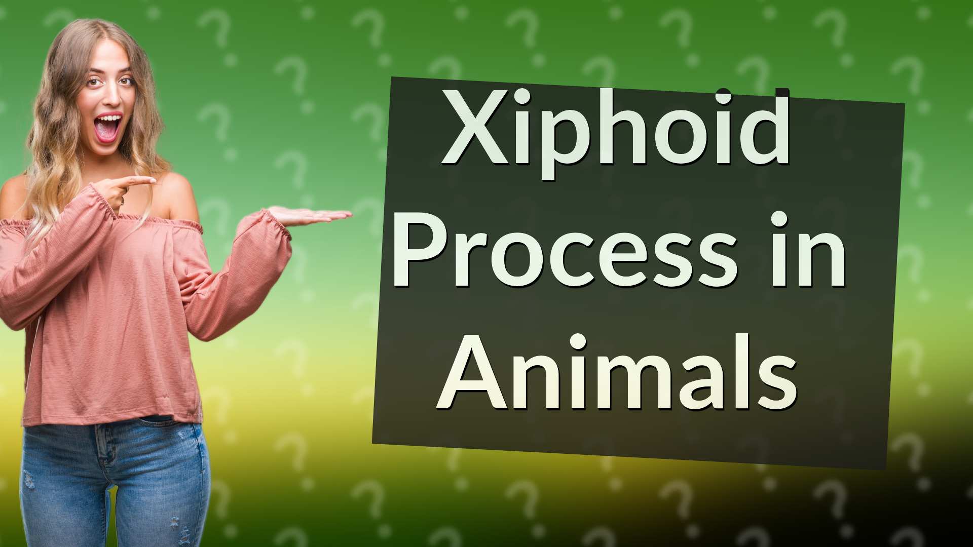 Xiphoid Process in Animals