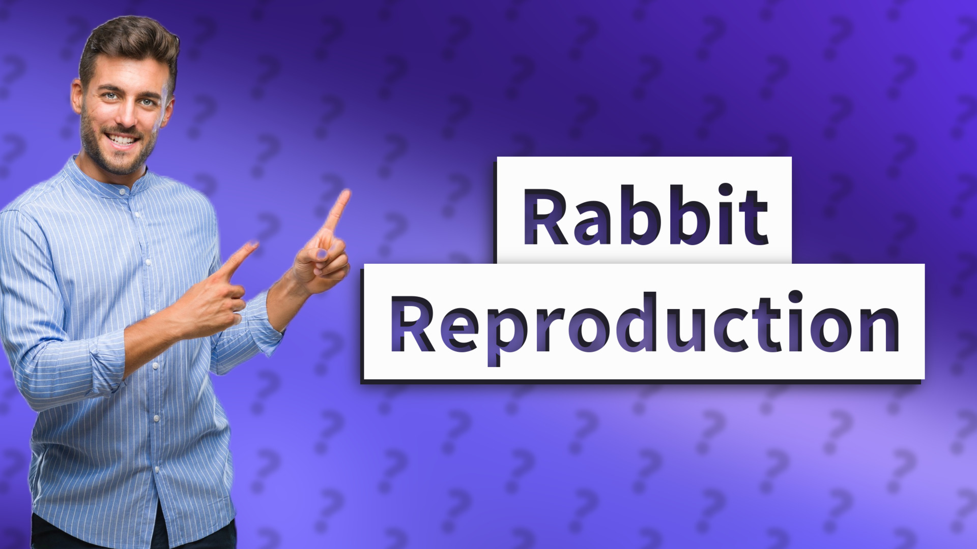 Rabbit Reproduction