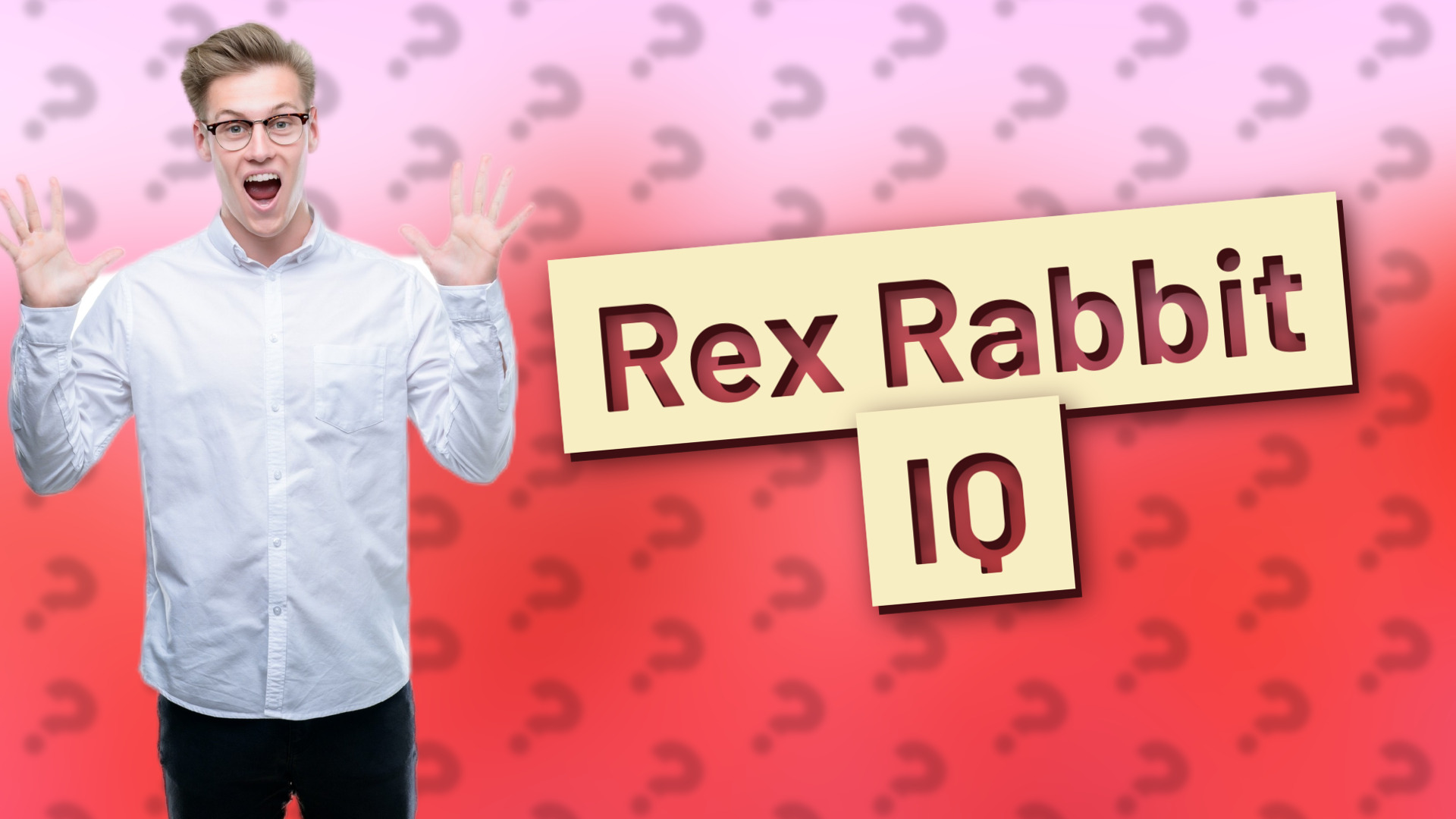 Rex Rabbit IQ