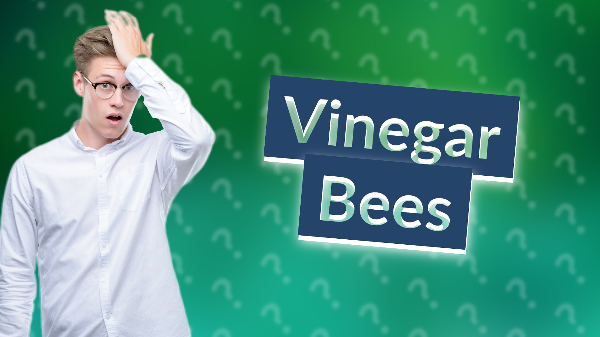 Vinegar Bees