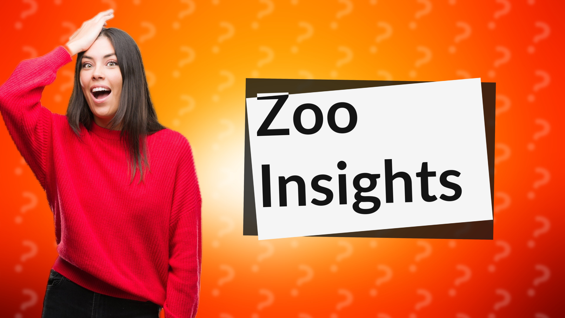 Zoo Insights
