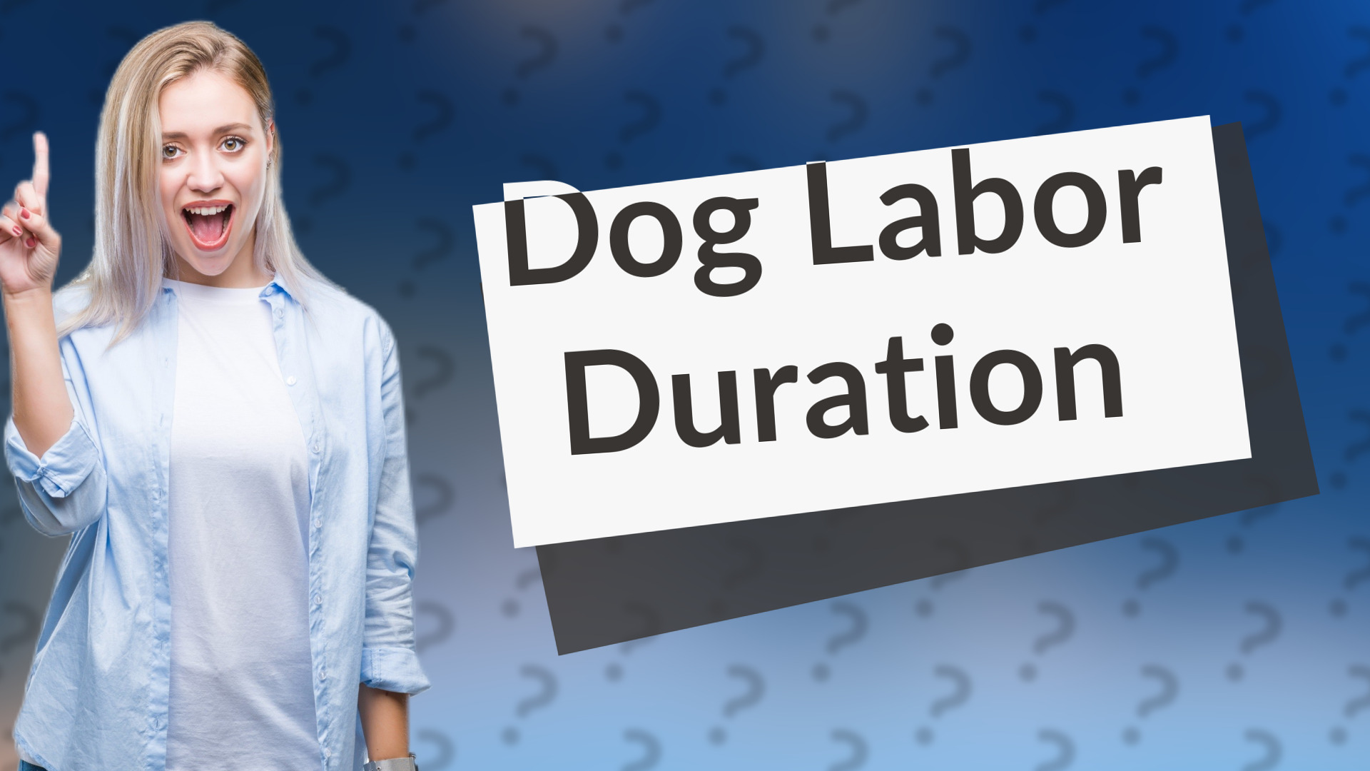 Dog Labor Duration