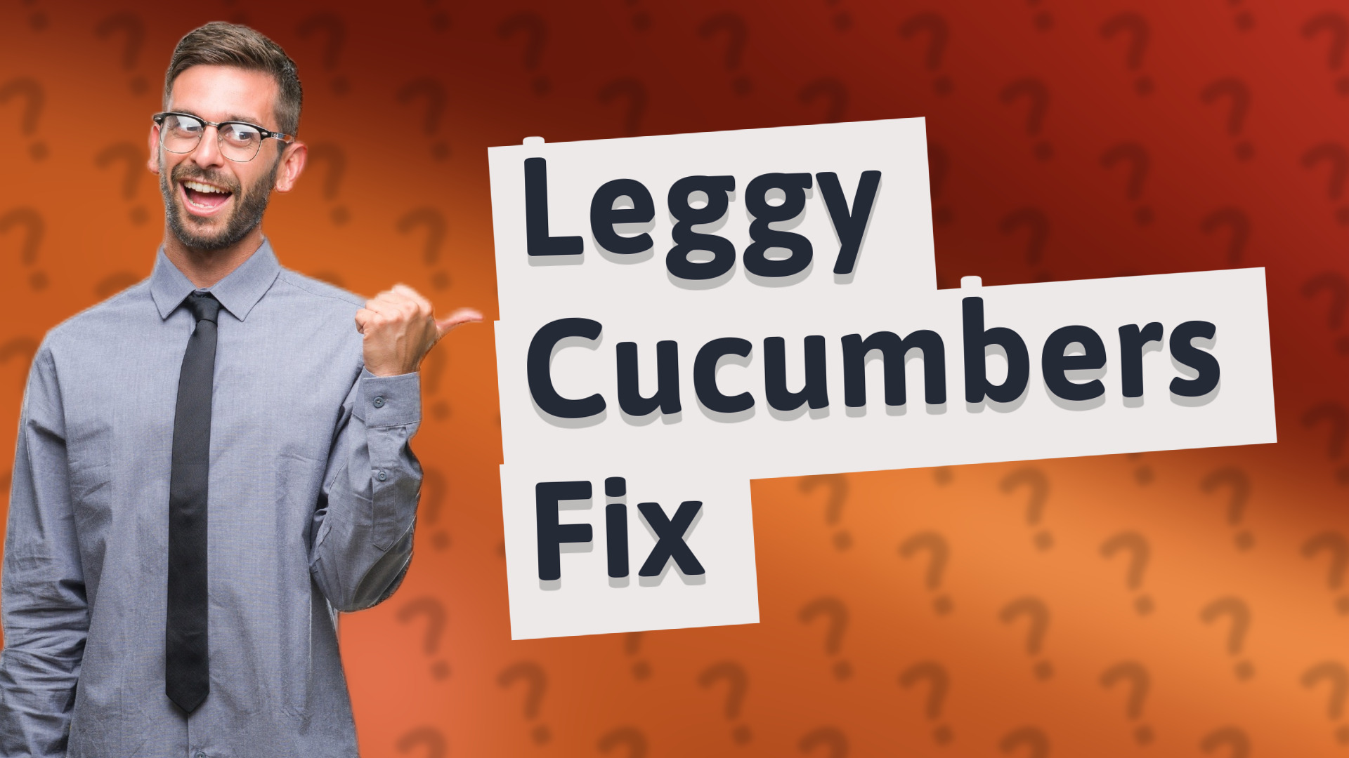 Leggy Cucumbers Fix