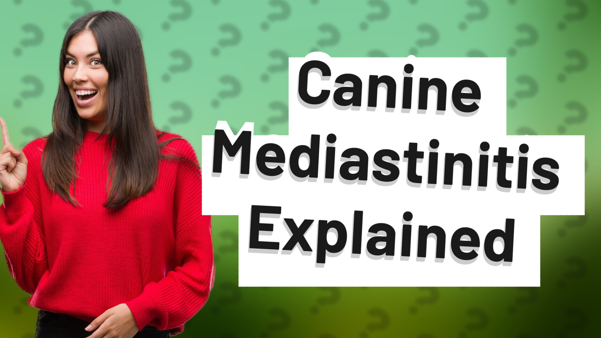 Canine Mediastinitis Explained