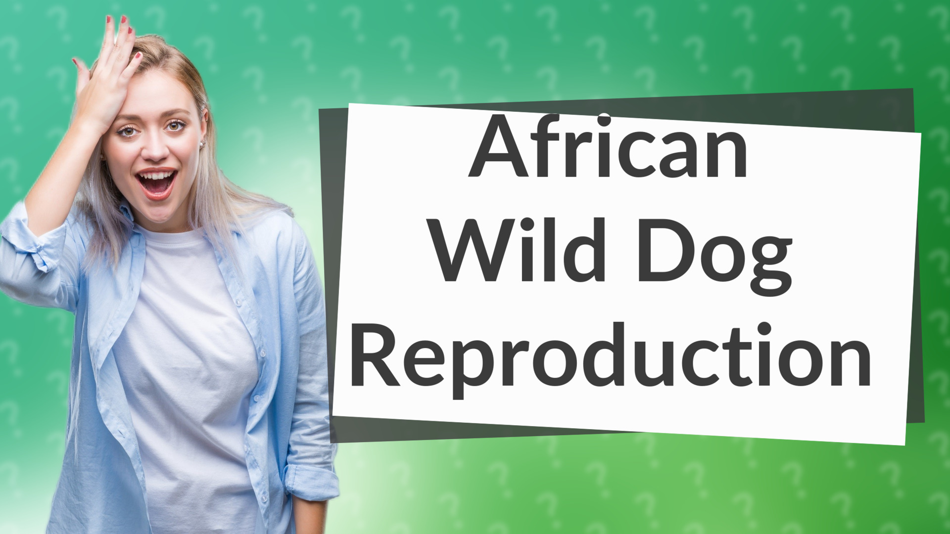 African Wild Dog Reproduction