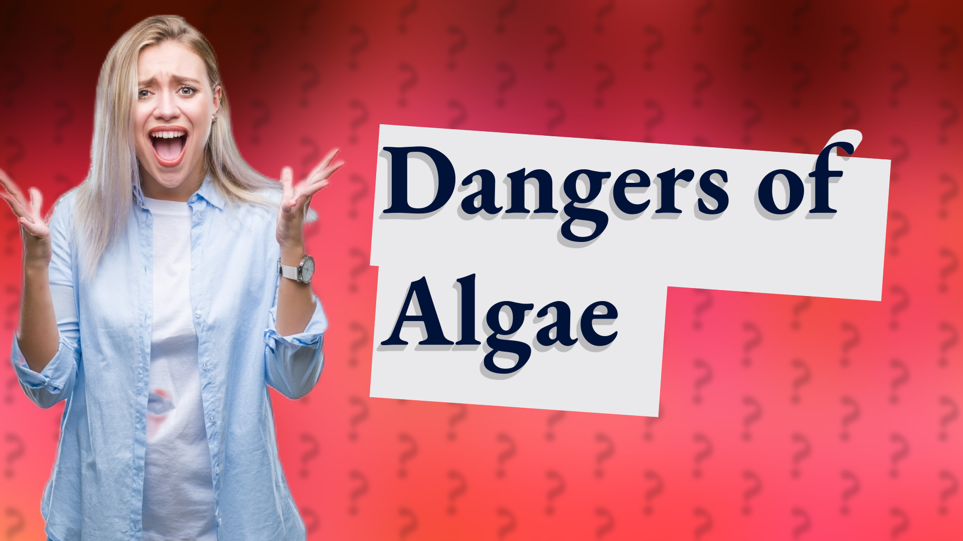 Dangers of Algae