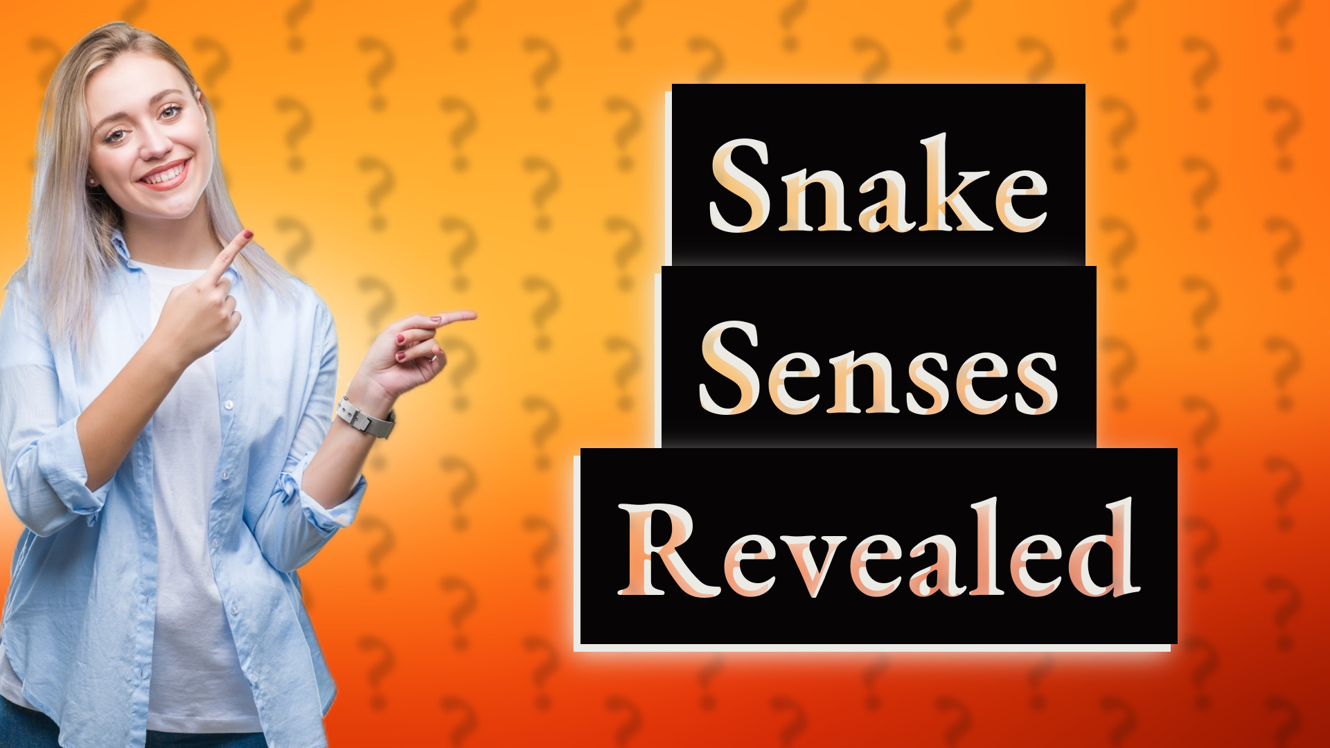 Snake Senses Revealed
