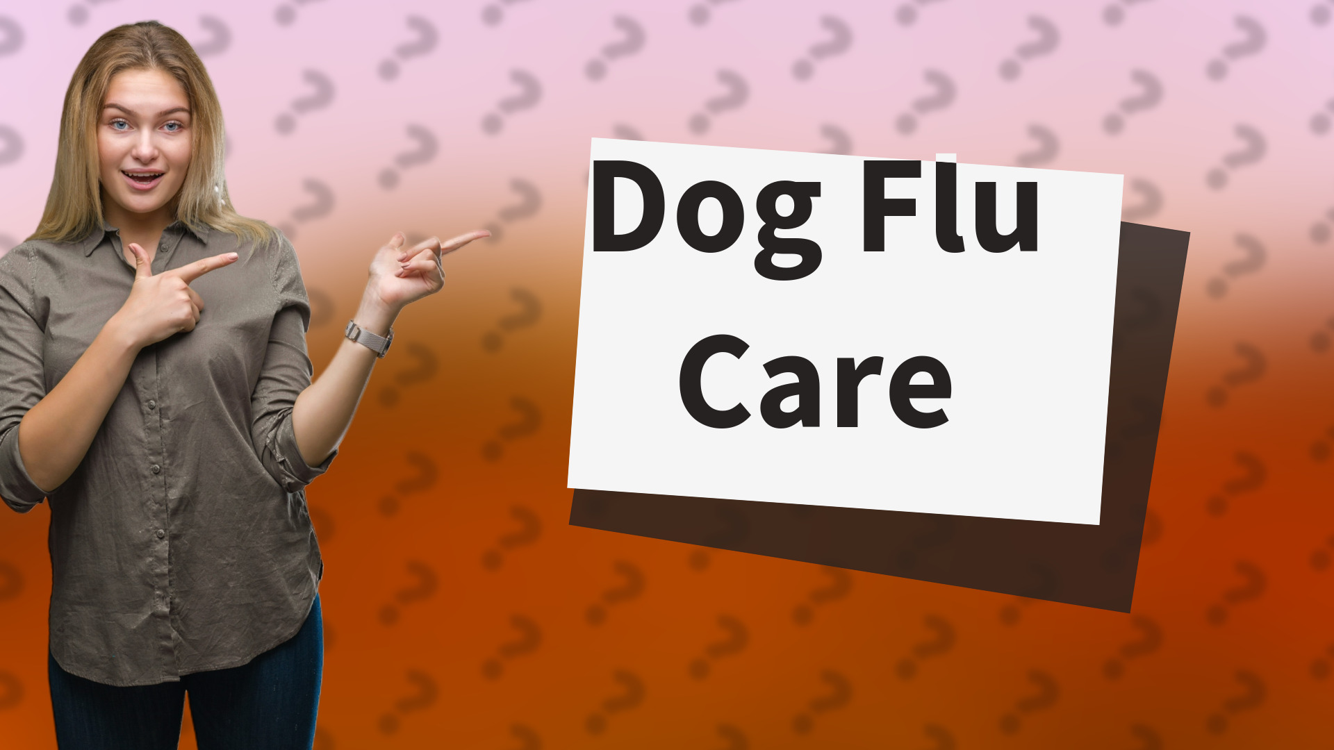 Dog Flu Care