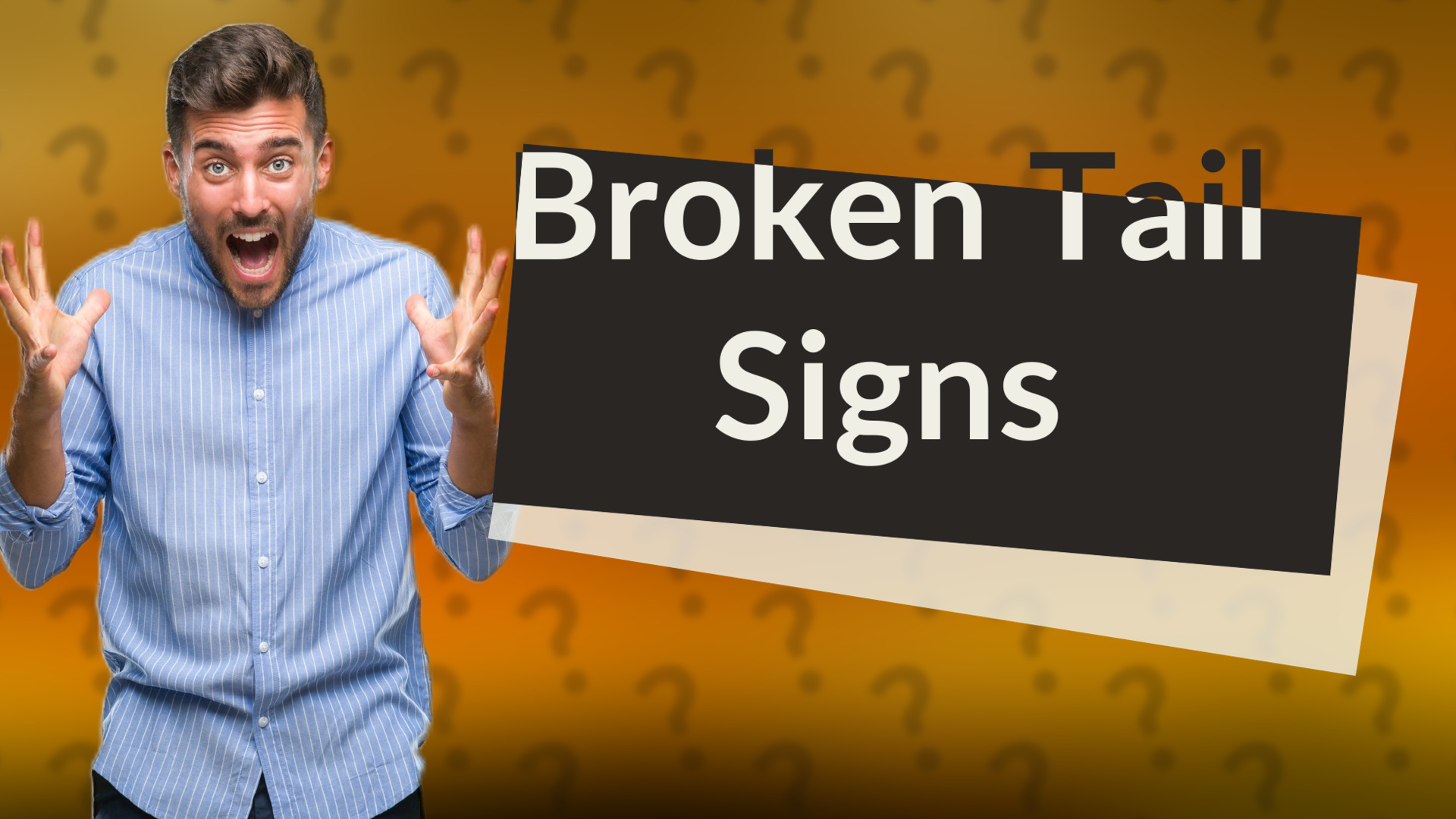 Broken Tail Signs