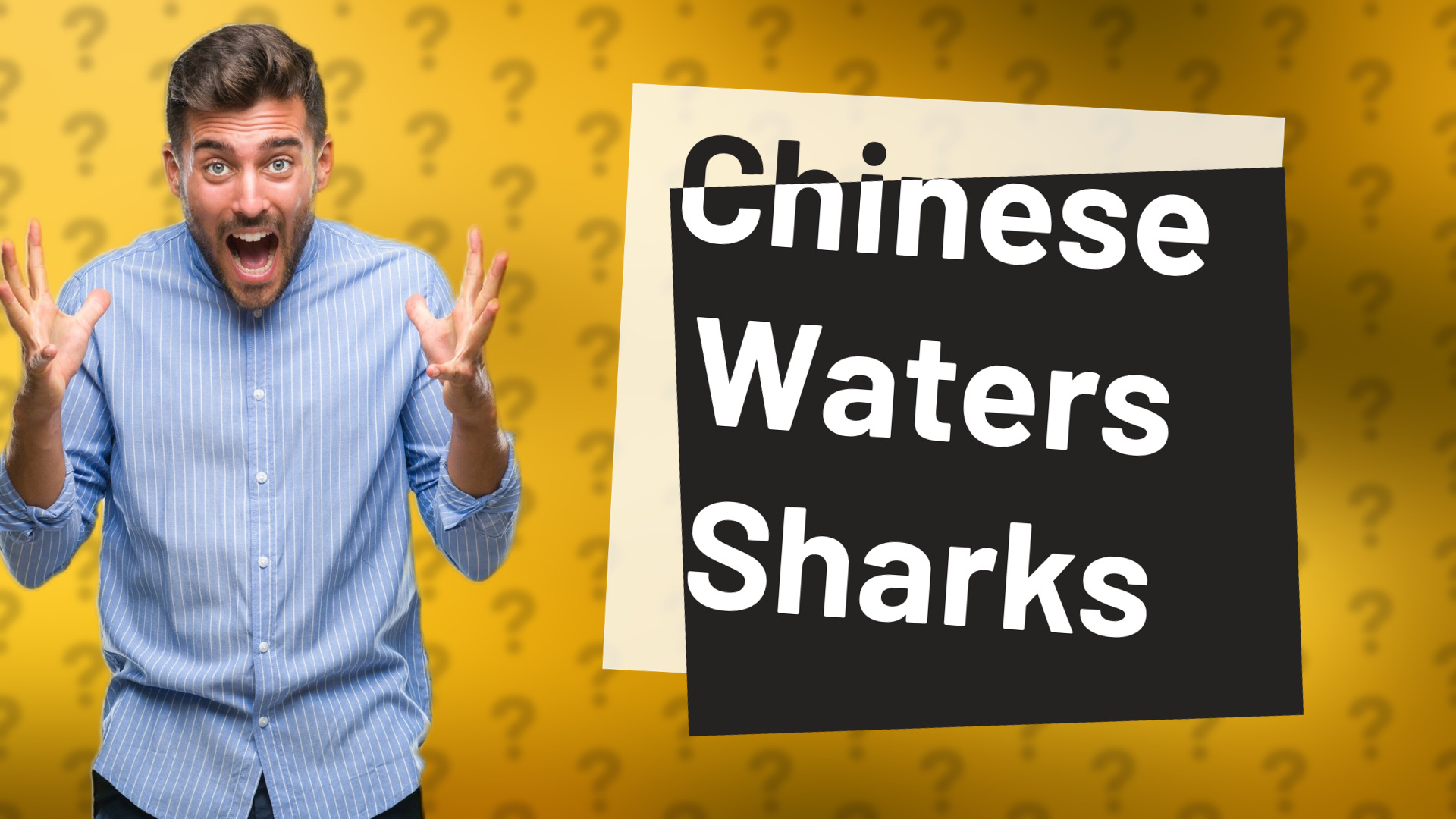 Chinese Waters Sharks