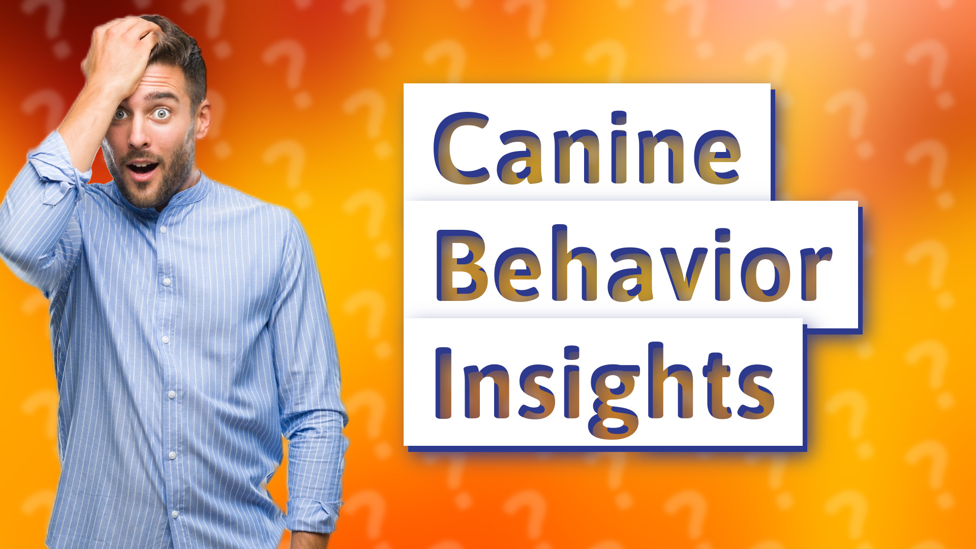 Canine Behavior Insights