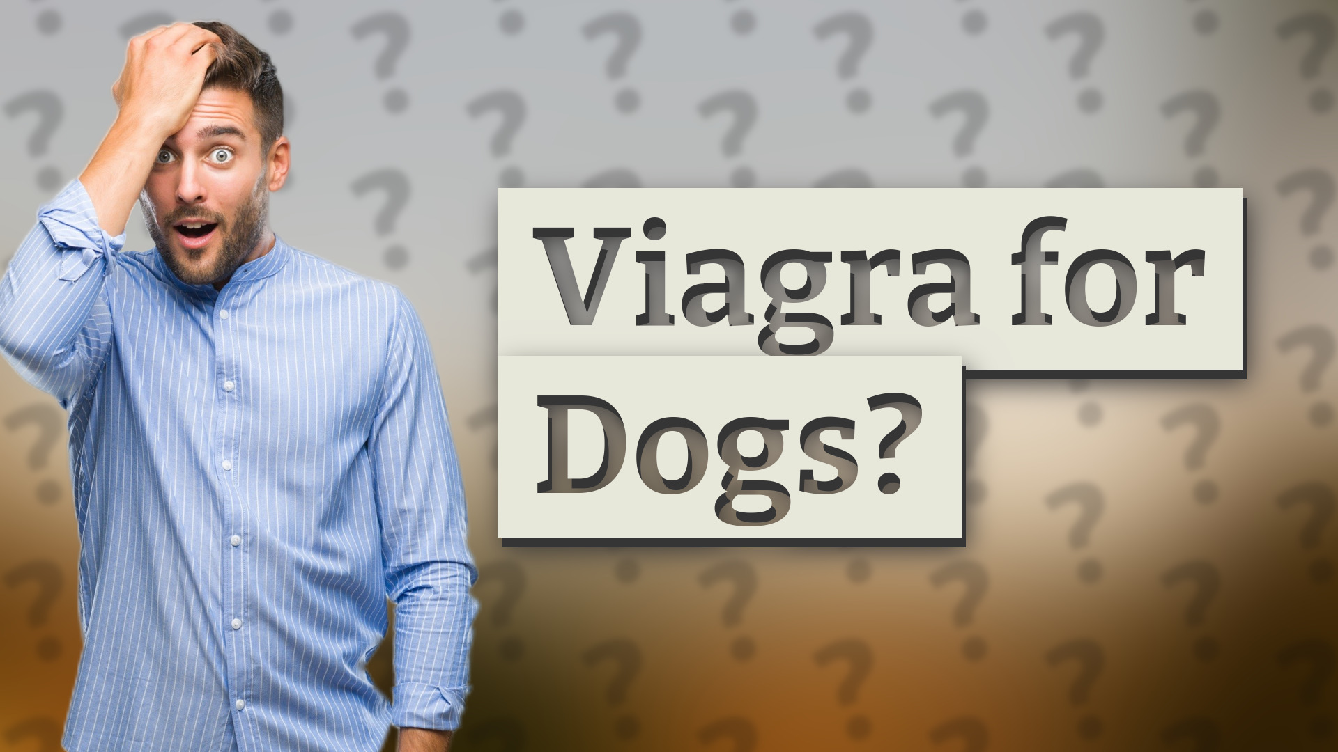 Viagra for Dogs?