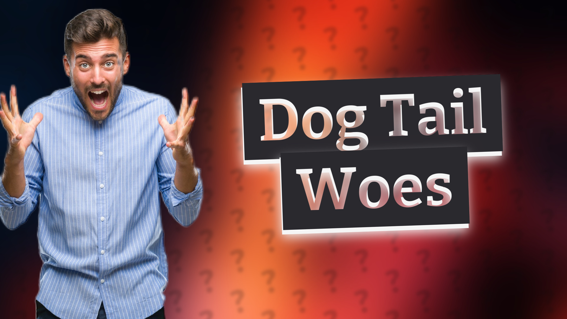Dog Tail Woes