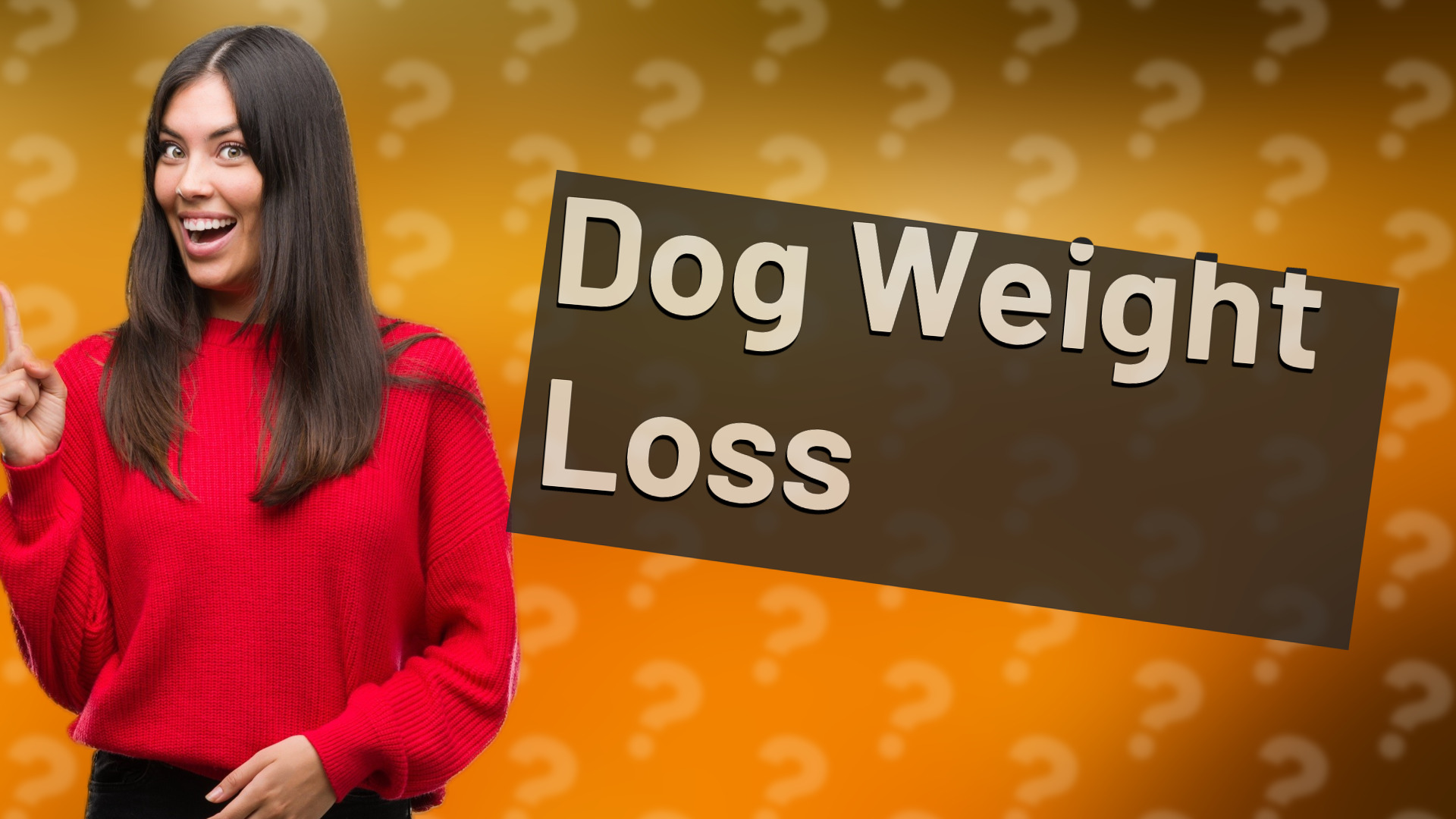 Dog Weight Loss