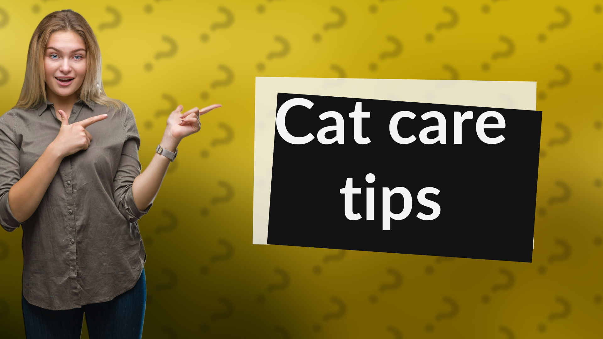 Cat care tips