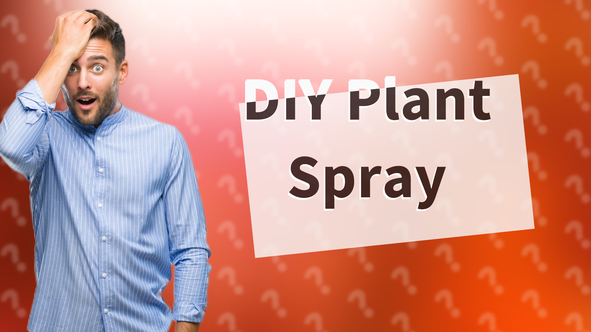 DIY Plant Spray