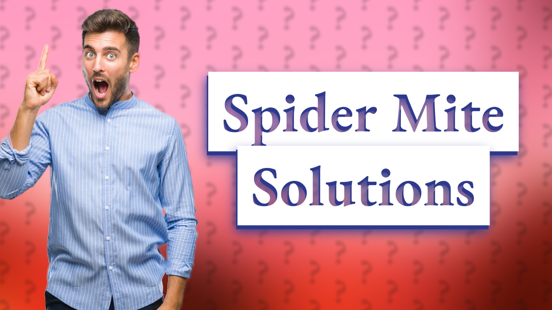 Spider Mite Solutions