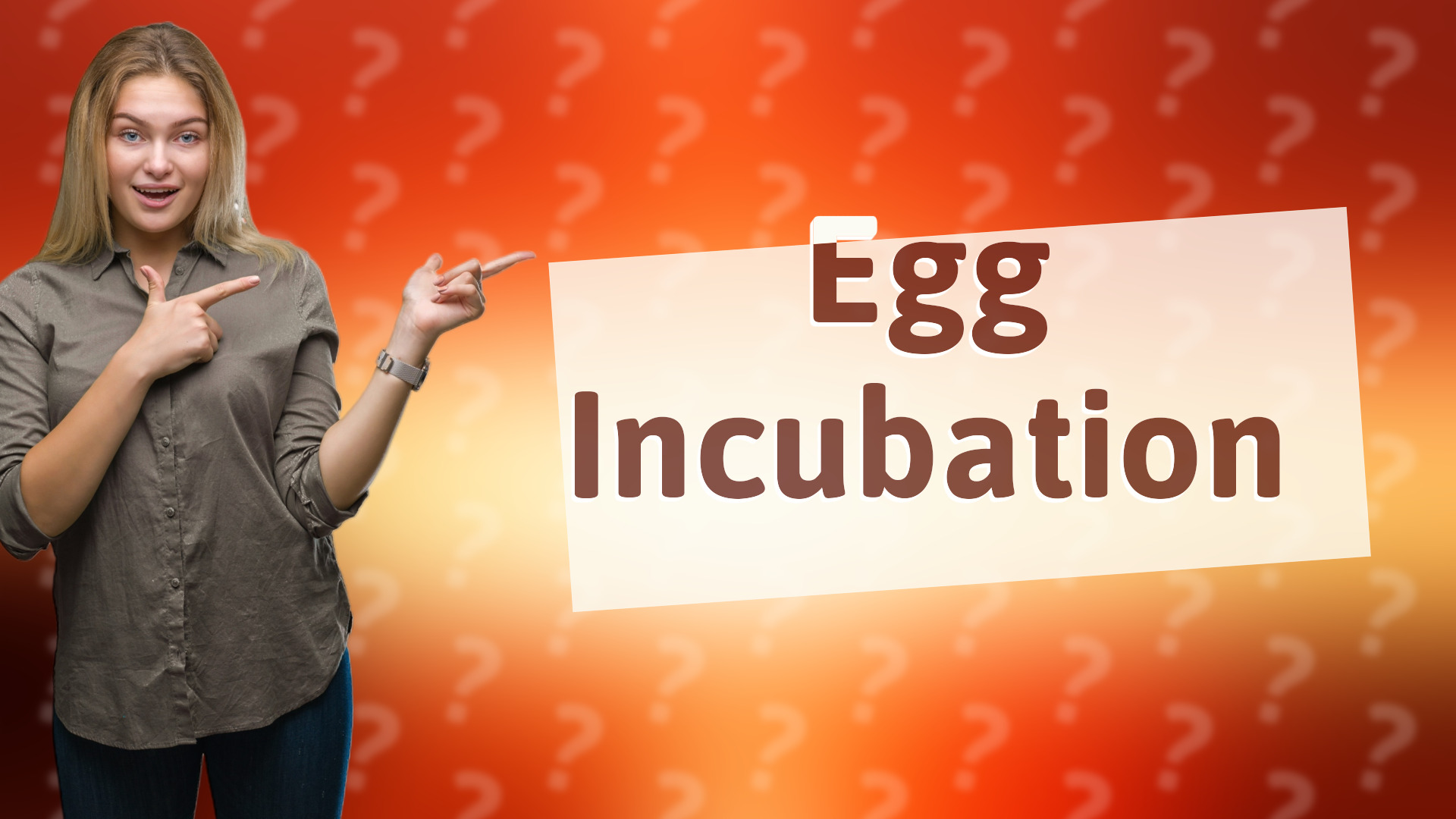 Egg Incubation