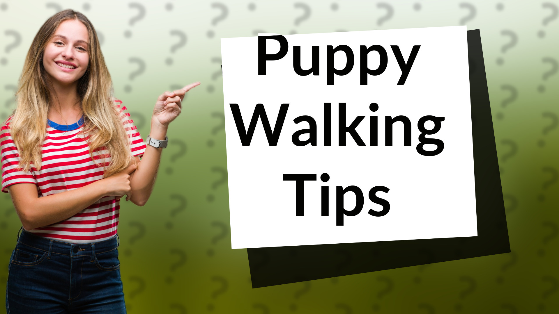 Puppy Walking Tips