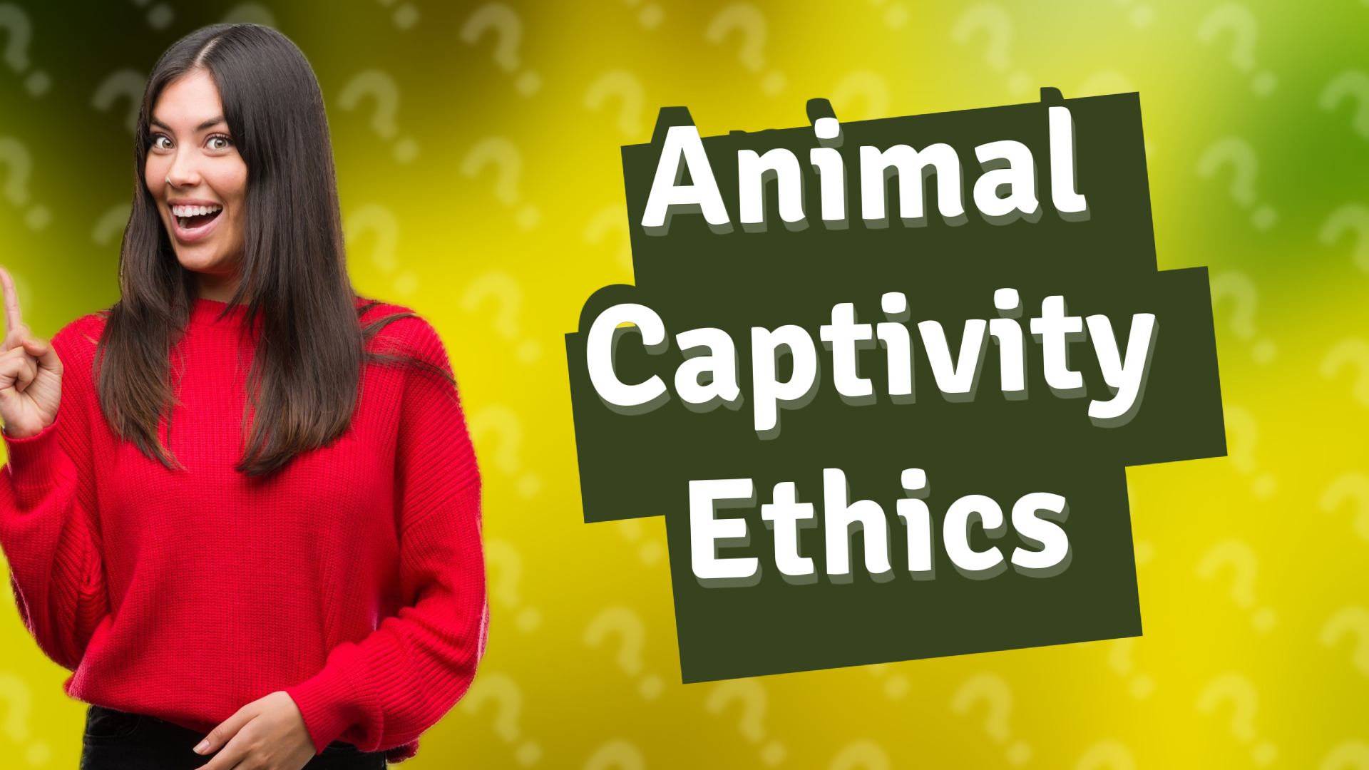 Animal Captivity Ethics