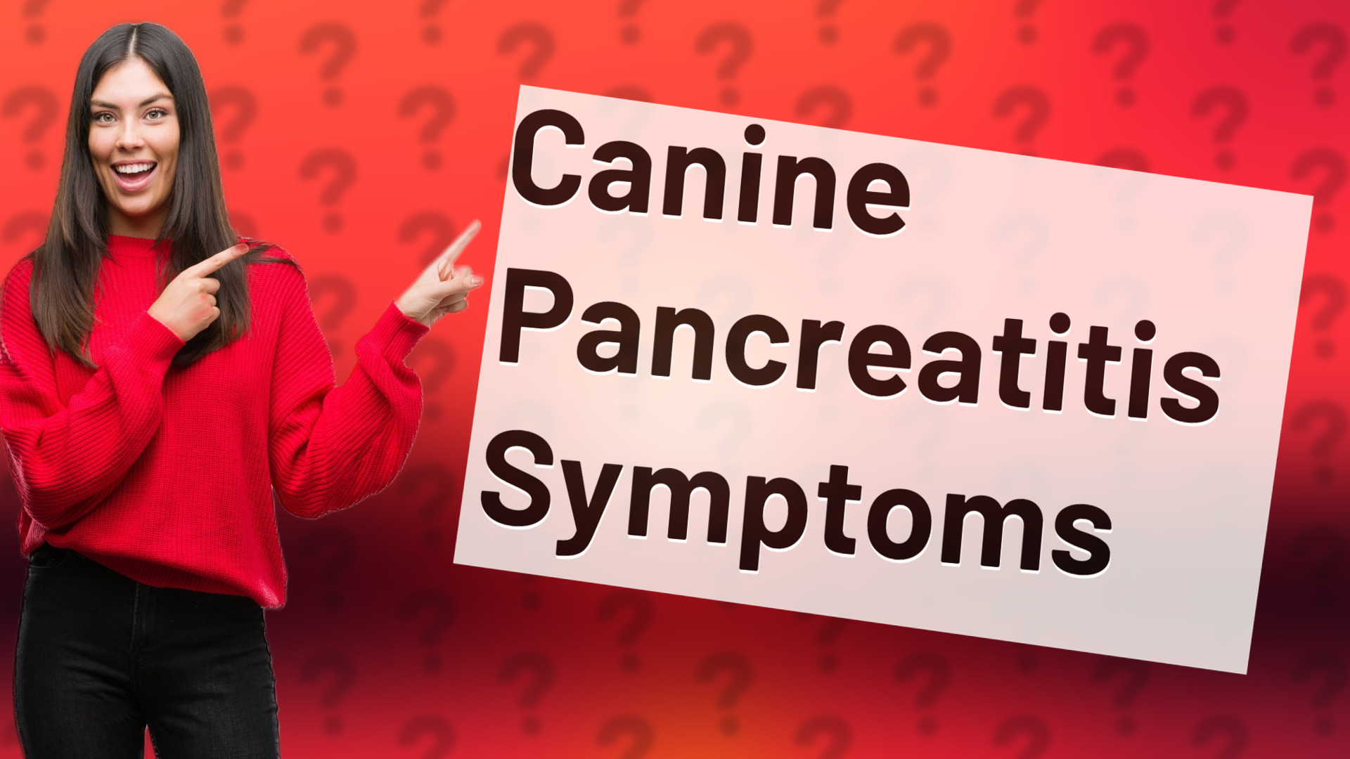 Canine Pancreatitis Symptoms