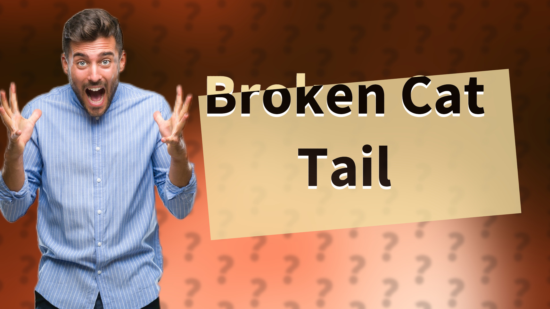 Broken Cat Tail