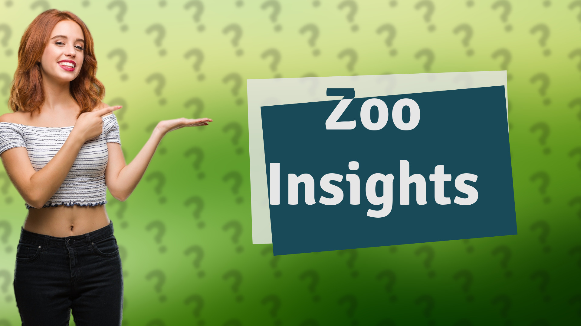 Zoo Insights
