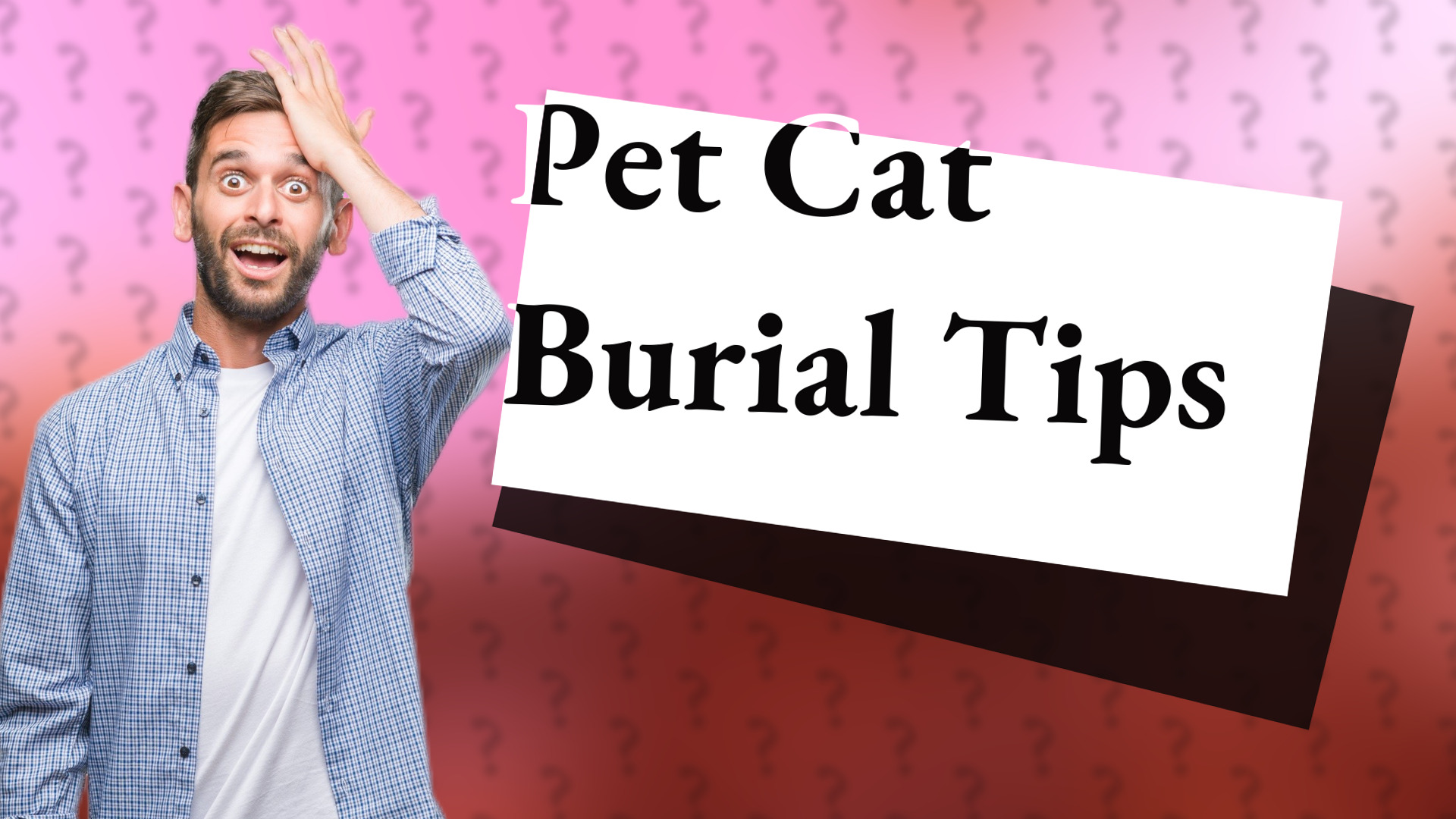 Pet Cat Burial Tips