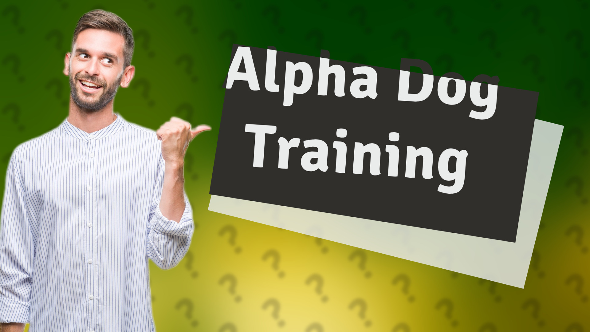 Alpha Dog Training