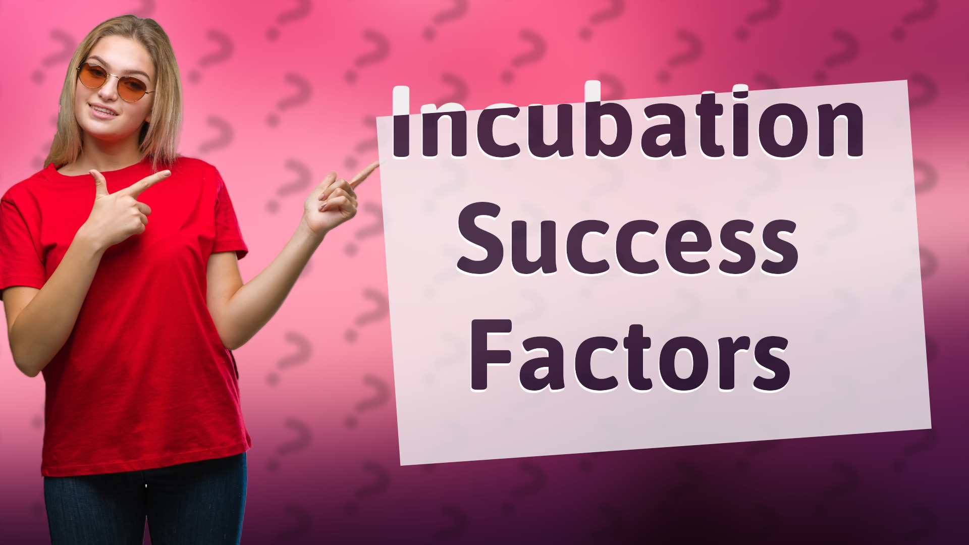 Incubation Success Factors