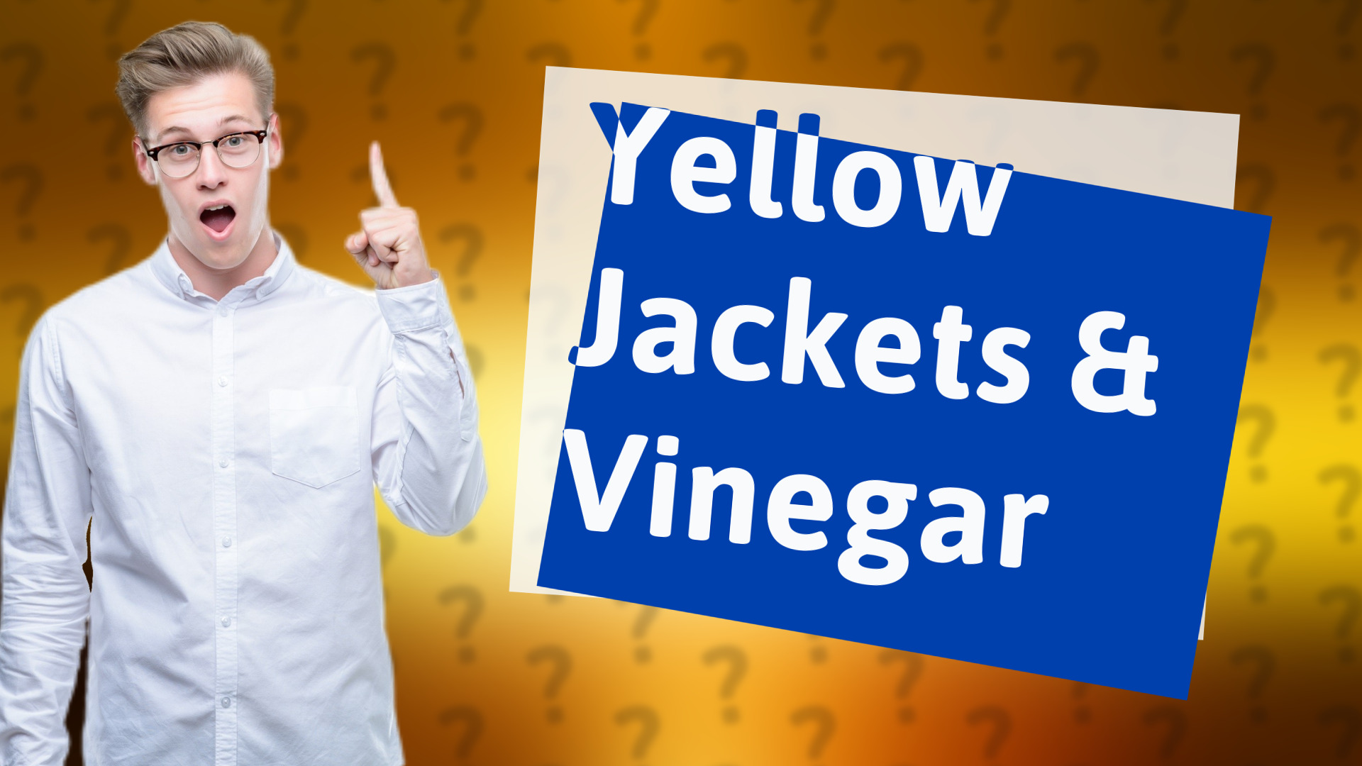 Yellow Jackets & Vinegar