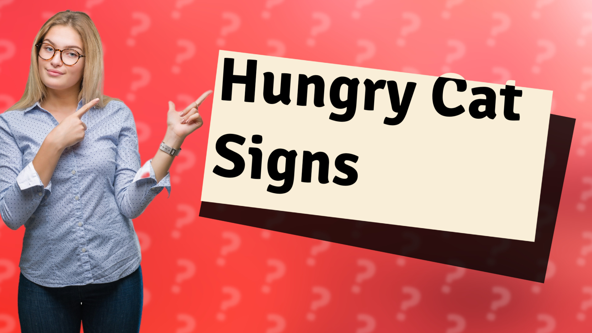 Hungry Cat Signs