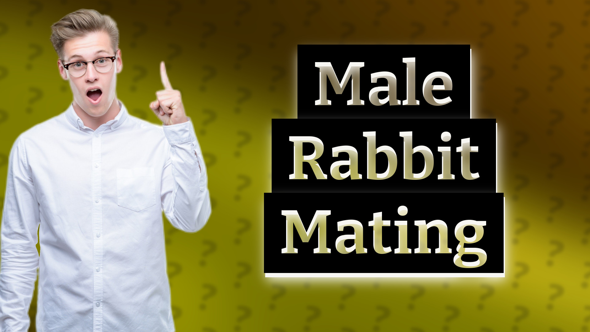 Male Rabbit Mating