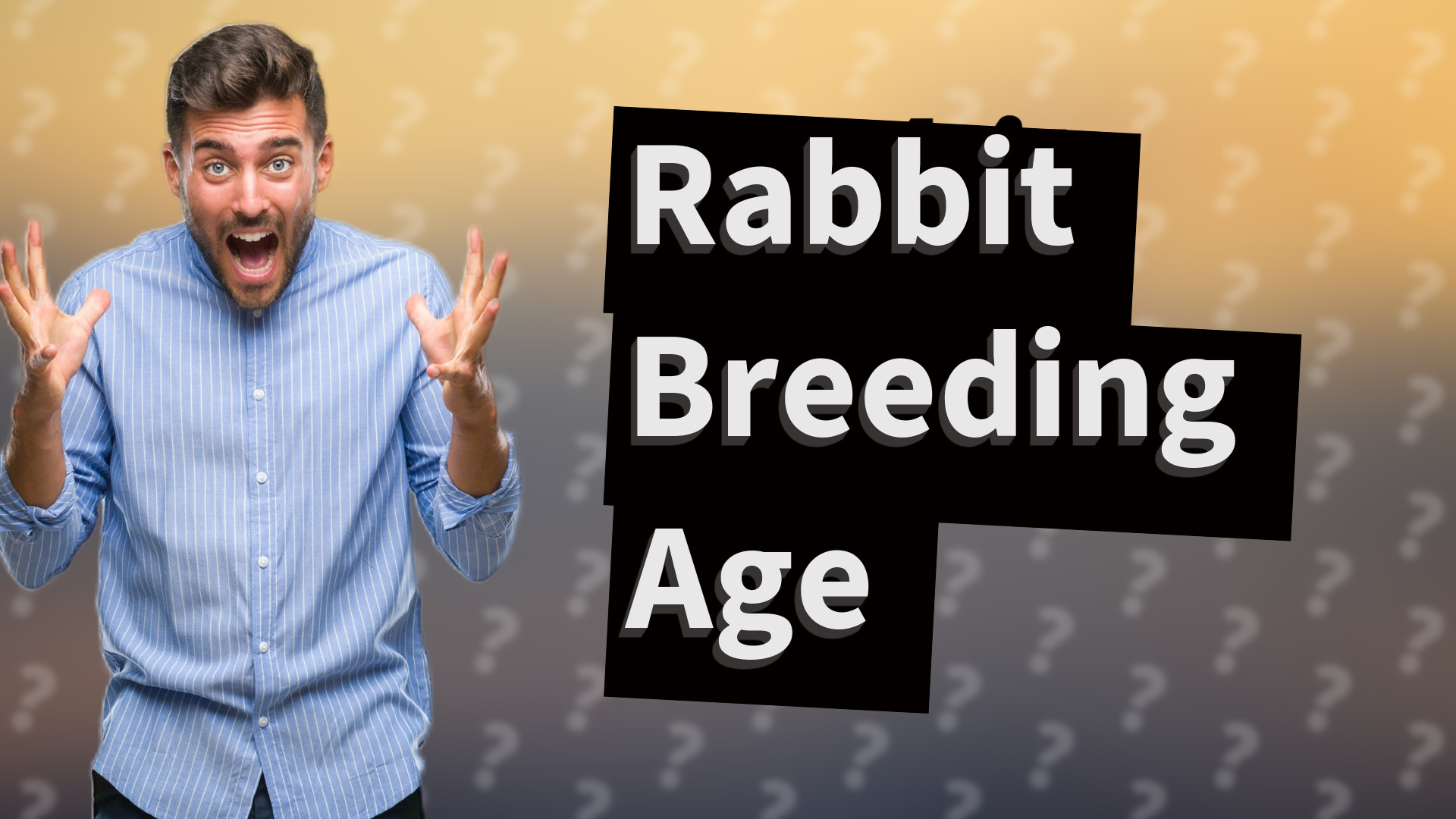 Rabbit Breeding Age