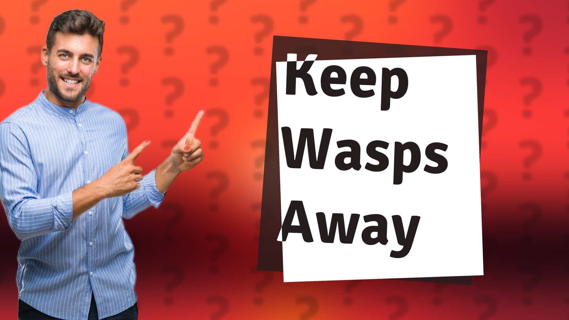 Keep Wasps Away